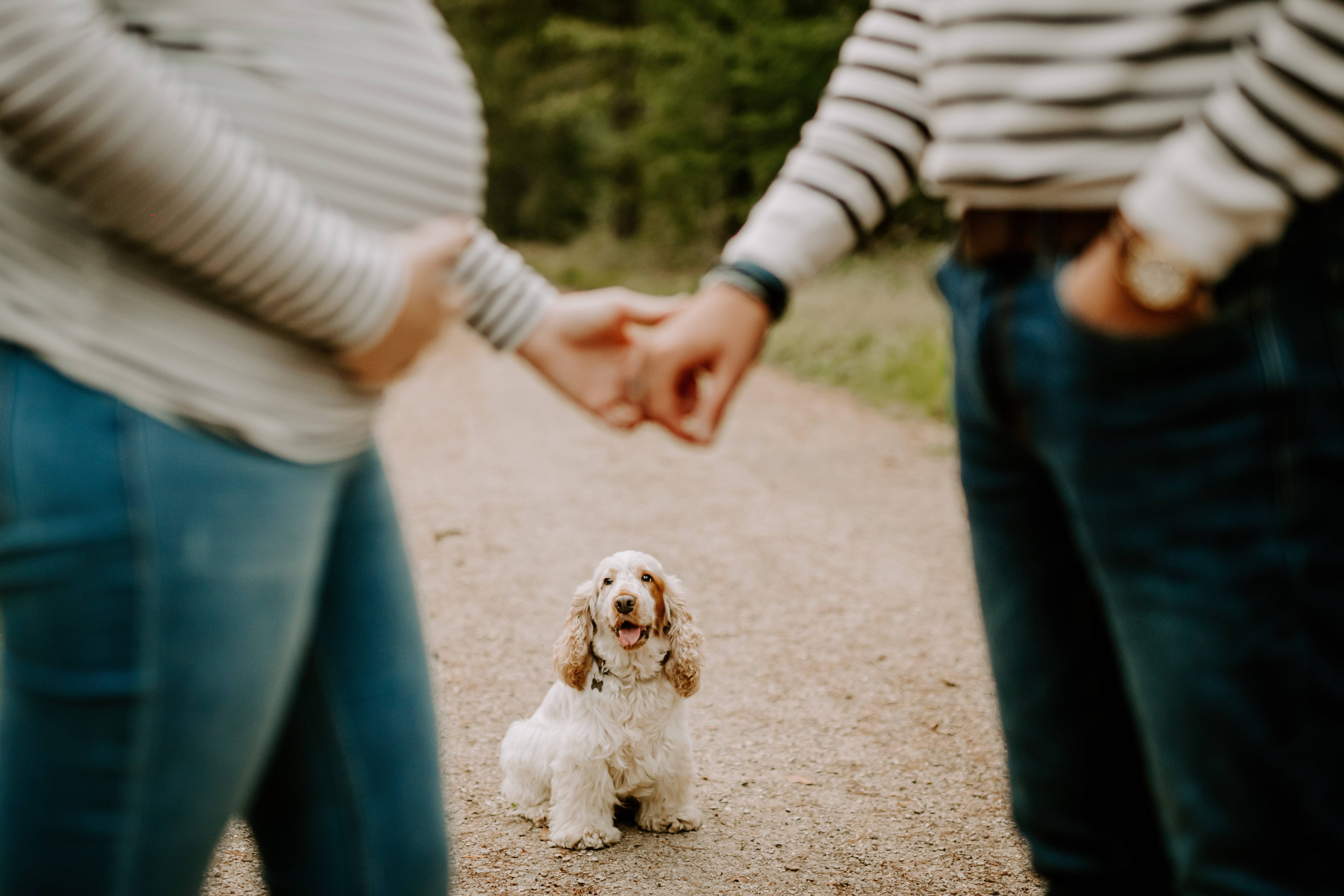 Photographe grossesse famille Seine-et-Marne Ile-de-France